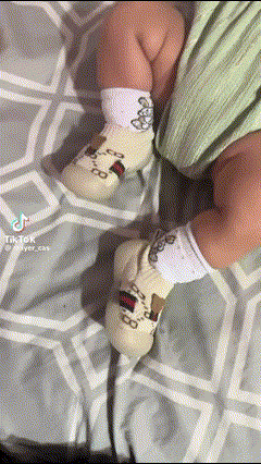 ✨TENIS DEPORTIVOS OSO🐻GUCI ANTI-SLIP PARA BEBÉ👶